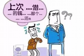 安岳融资清欠服务